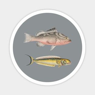 Fishes pair - Fish graphic Magnet